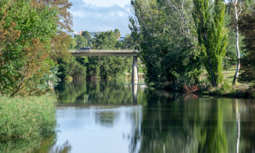 Queanbeyan Pest Control