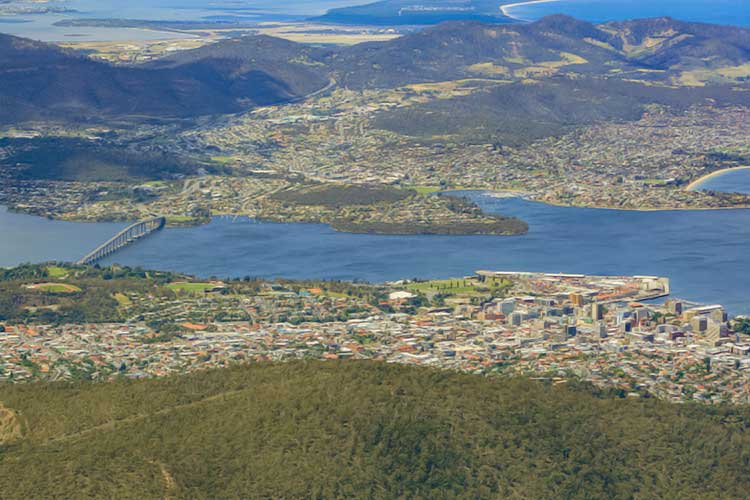 Rodent pest control Hobart