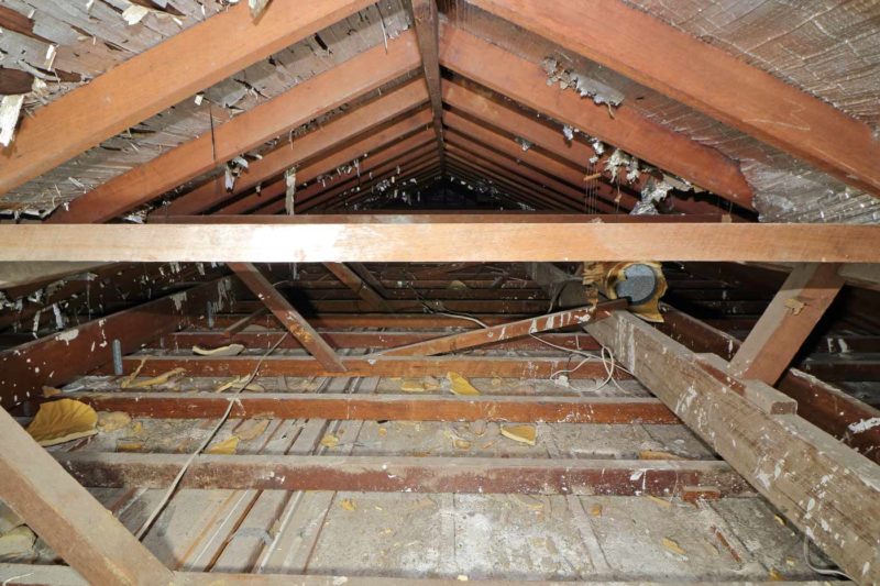 Roof Image